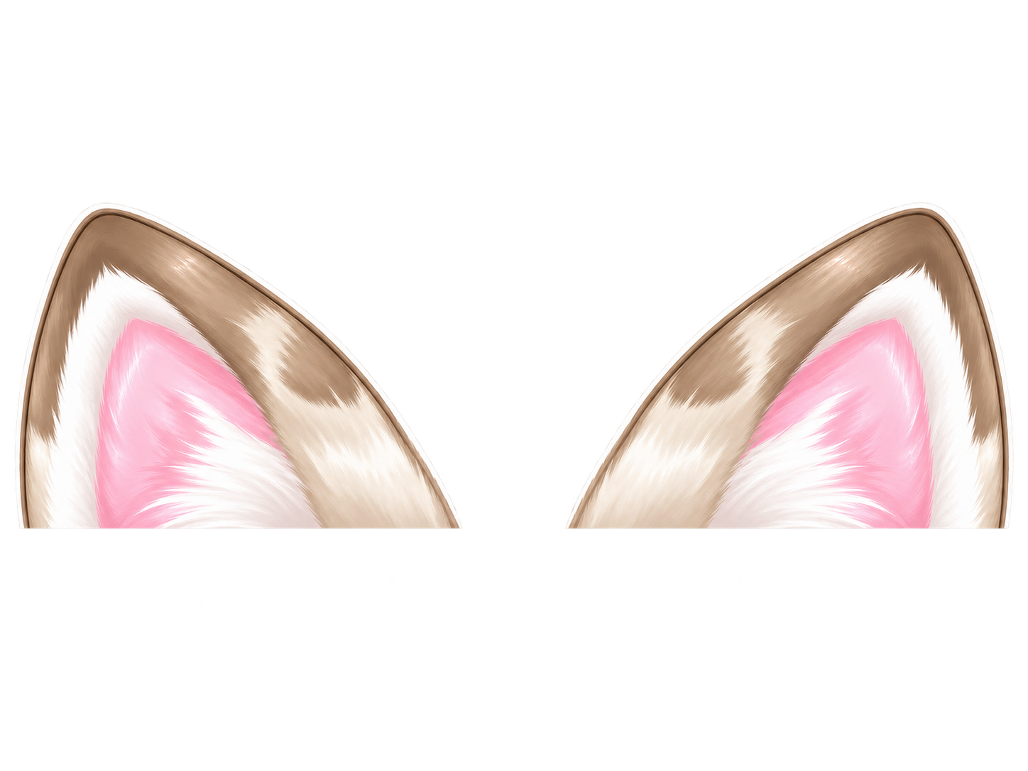 ベージュ猫の耳
