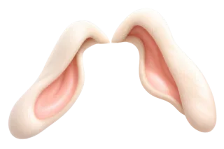 クリームの垂れうさ耳