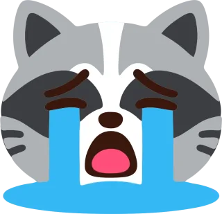 大泣きするあらいぐま