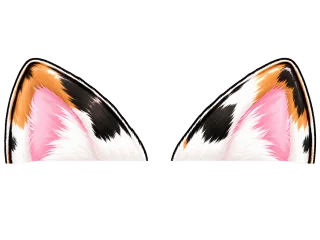 三毛猫の耳